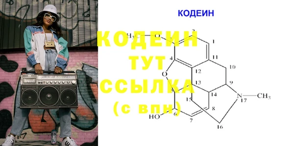 молекула духа Белоозёрский