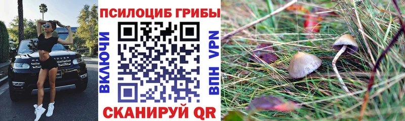 Галлюциногенные грибы Magic Shrooms  Купить  Курильск 